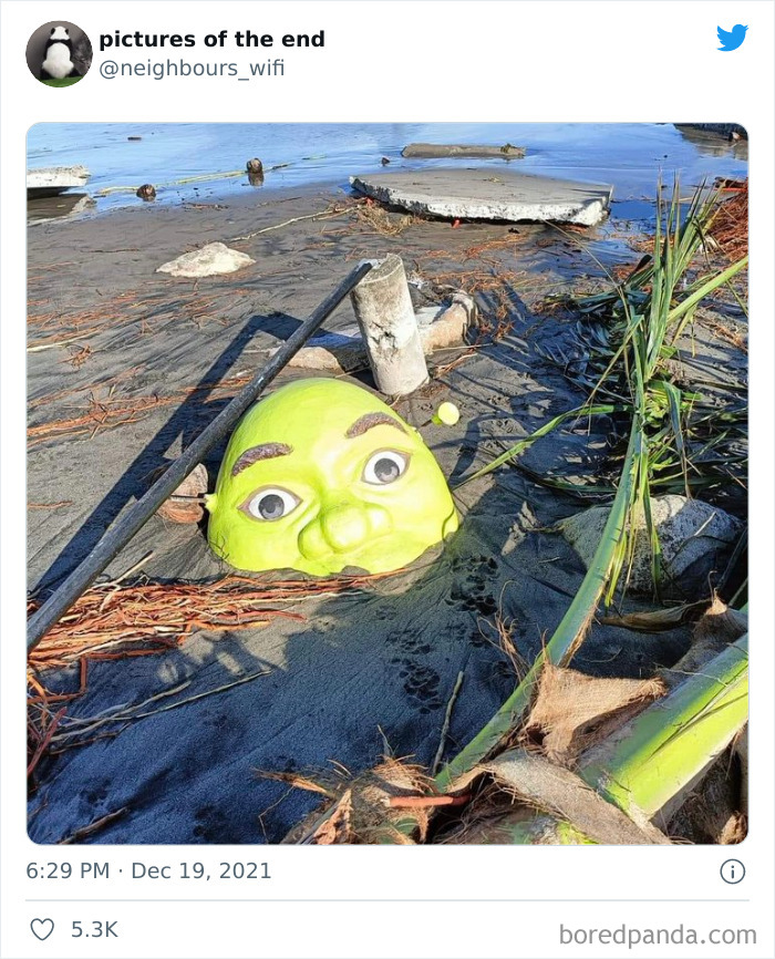 Funny-Confusing-No-Context-Images