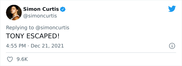 Guy Tweets Adorable Story Of How He Ended Up Adopting A Tiny Tree Frog He Discovered In His Lettuce Box