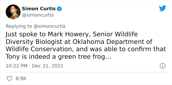 Guy Tweets Adorable Story Of How He Ended Up Adopting A Tiny Tree Frog He Discovered In His Lettuce Box