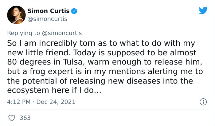 Guy Tweets Adorable Story Of How He Ended Up Adopting A Tiny Tree Frog He Discovered In His Lettuce Box