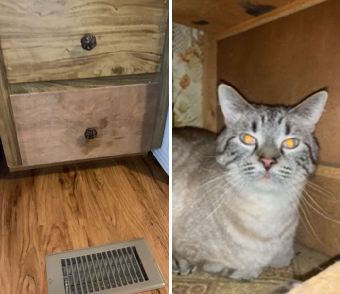 Lost A Cat In The New House. Found Him When We Saw A Foot Poke Out