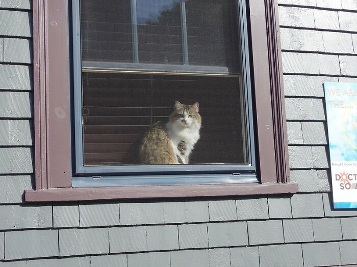 People Online Listed 30 Things Americans Are Familiar With, But Europeans Can't Relate To