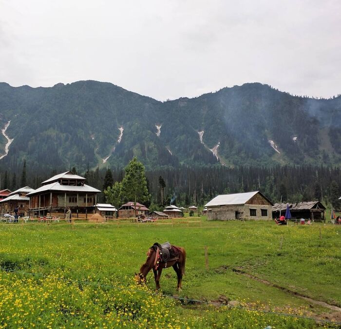 Arang Kel, Serenity (Pakistan)