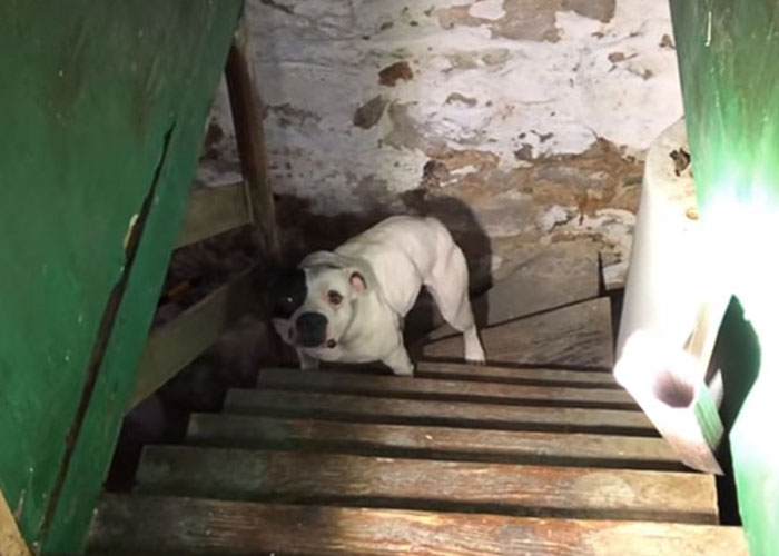 30 Unusual And Disturbing Things These People Saw At Someone Else's House