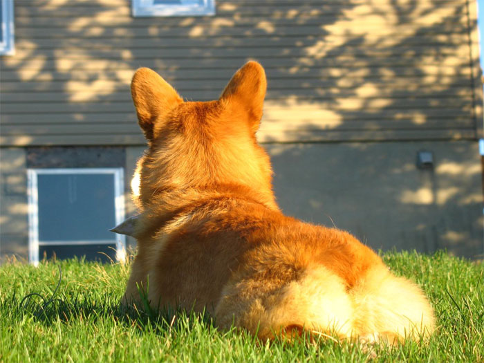 30 Completely Normal Yet Weird Things, As Pointed Out By Folks In This Online Group