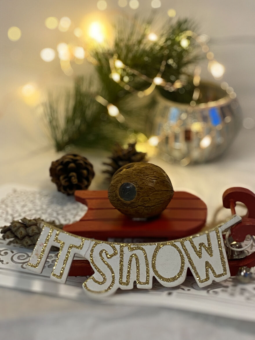 I Create Tiny Fairy Houses In Walnut Shells