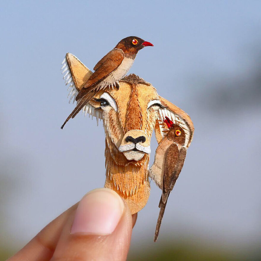Female Impala And Red Billed Oxpecker
