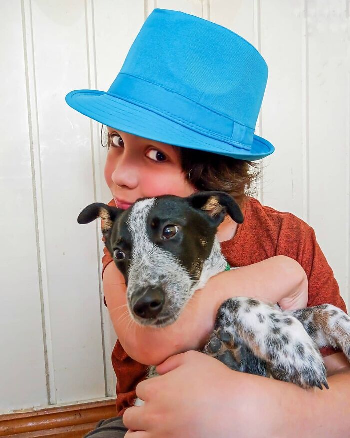 11-Year-Old Brazilian Boy Bathes Stray Dogs On Saturdays To Increase Their Chance At Being Adopted 11-Year-Old Brazilian Boy Bathes Stray Dogs On Saturdays To Increase Their Chance At Being Adopted