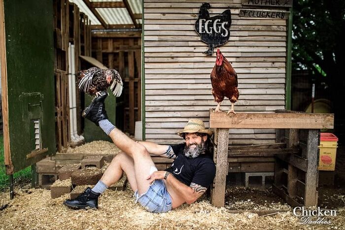 This 'Chicken Daddies' Calendar Will Make Your Day (25 Pics)