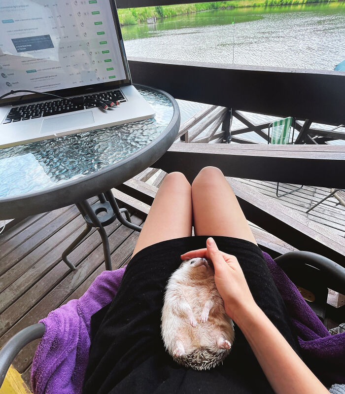 Just Chilling’ With My Human