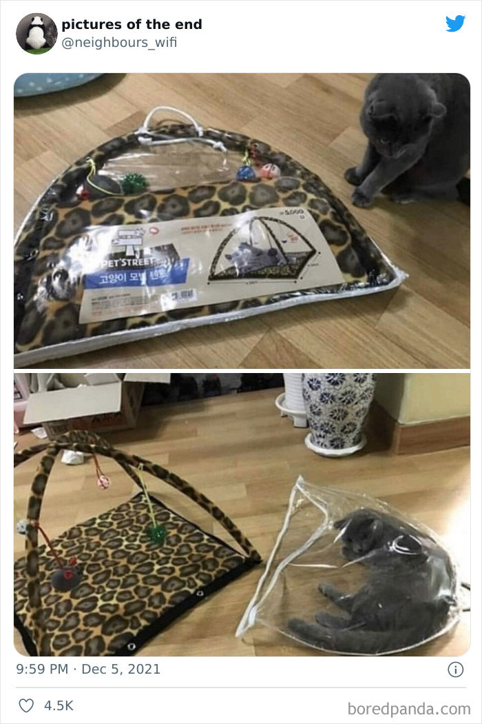 Funny-Confusing-No-Context-Images