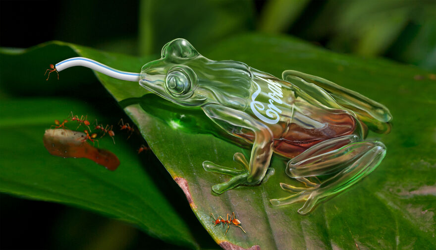 Digital Artists Are Challenged To Photoshop Frogs And Here Are The 30 Best Images