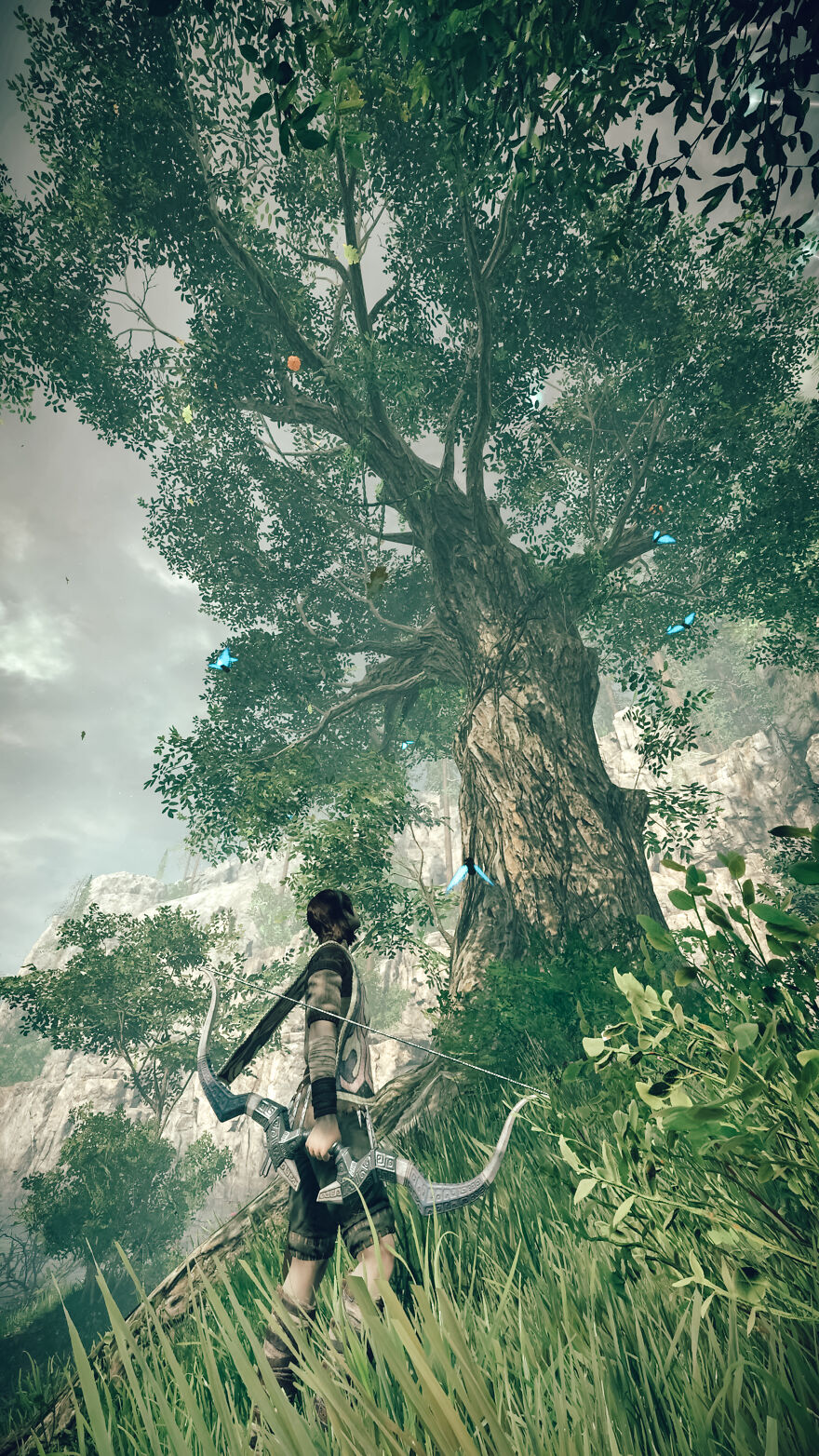 Professional Photographer With Time On His Hands At The Corona Disaster Captures In-Game Photography Of "Shadow Of The Colossus" Seriously.