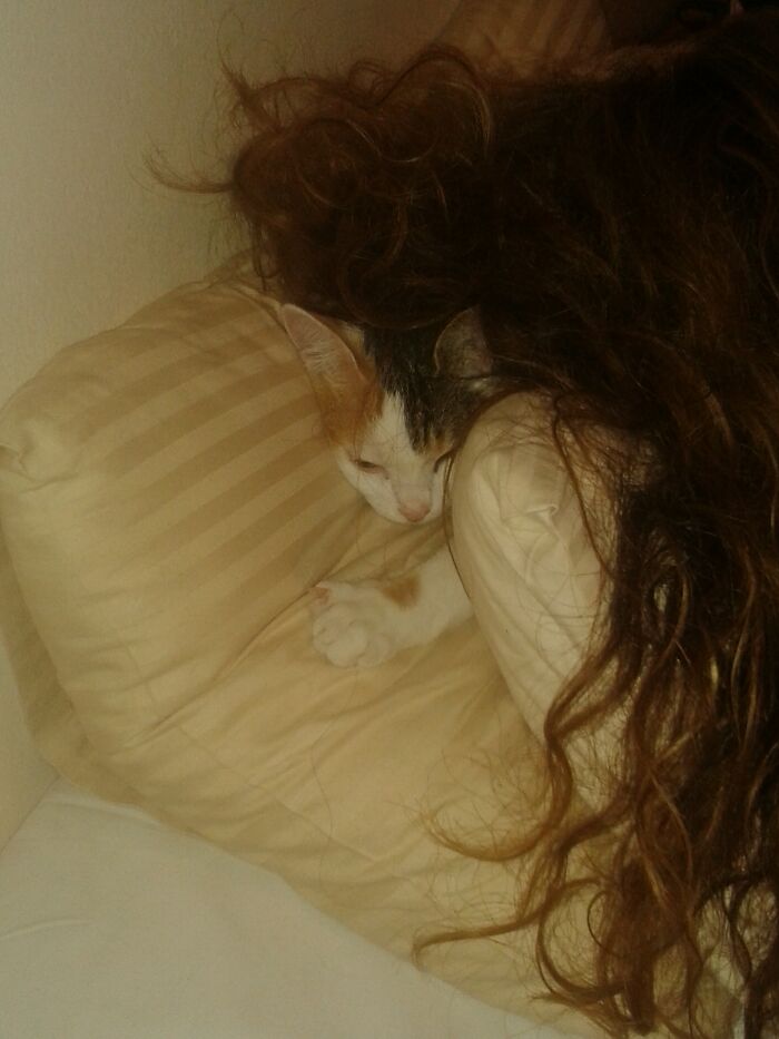 Lily Liked To Hide In My Roommate's Hair To Sleep!