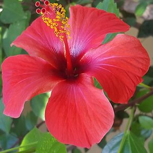 julia_weichsler avatar