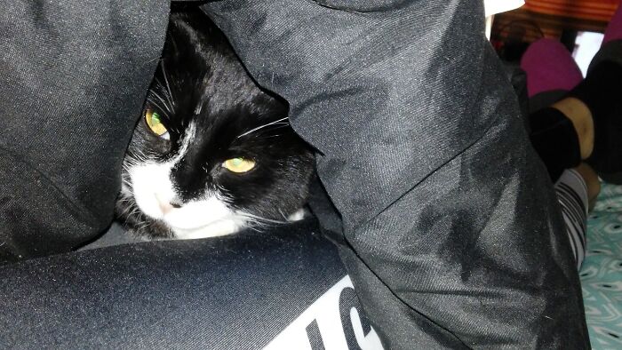 Mom's Puffy Blanket Keep Me Cozy And Warm