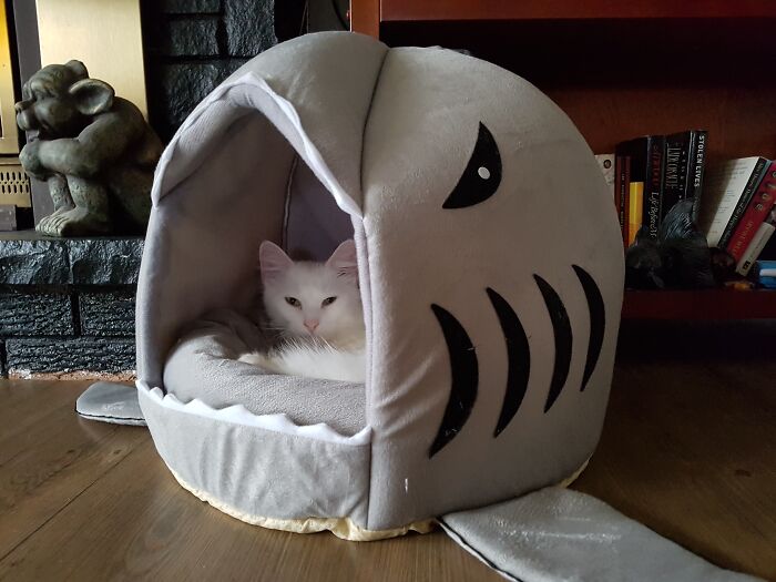 Barry Being Adorable