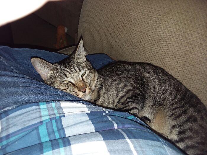 Brother And Sis, Comfy Wherever