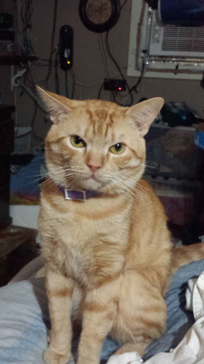 Leo Is Not A Morning Person!