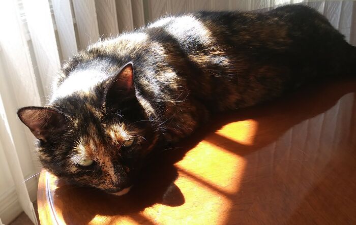 Aah... Sunny And Warm