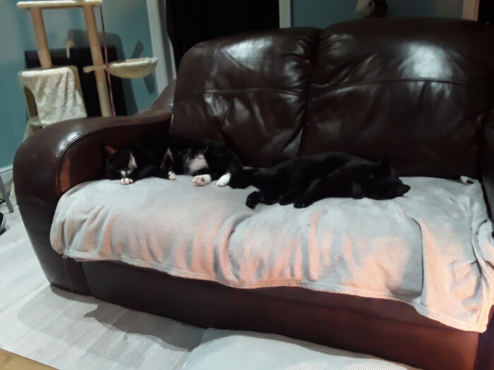 Rare Time They Are Friends