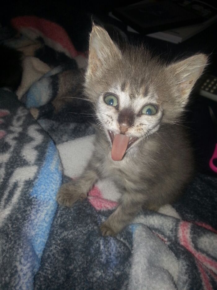 Crazy Eyes When She Yawns