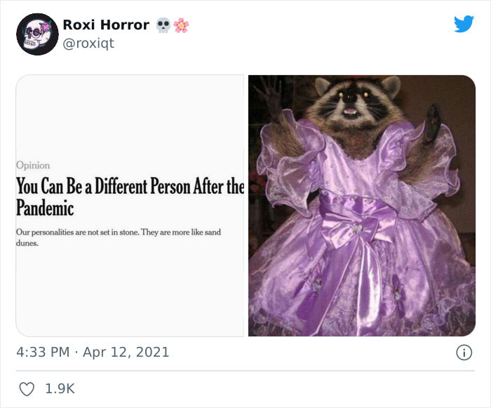 Twitter User Recaps 2021, Reminds Us Just How Crazy This Year Was