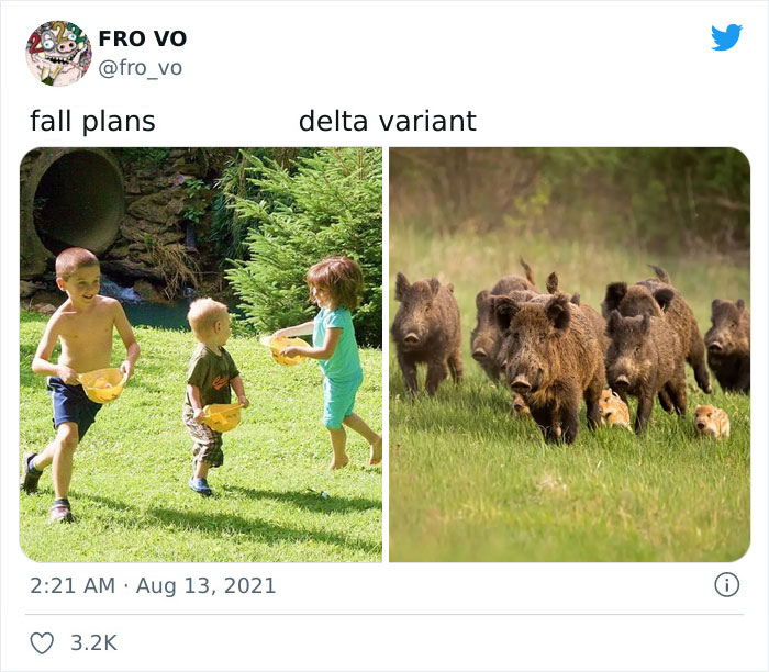 Twitter User Recaps 2021, Reminds Us Just How Crazy This Year Was