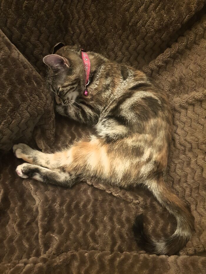 Perfect Place For Precious