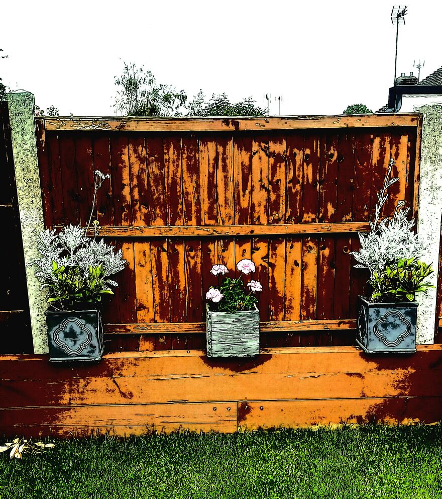 I Took Pictures Of My Friend's Garden. I Edited Them And Was Able To Make 5 Of My Friends Think I Drew Them.