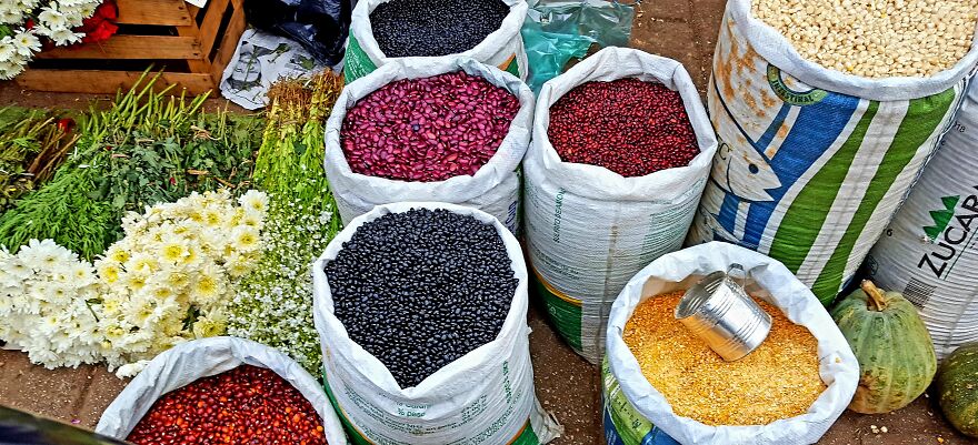 I Spent 9 Months Traveling In Mexico. Here Are My 10 Best Pictures