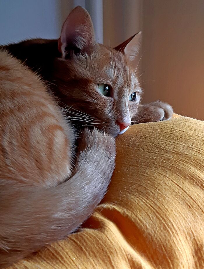 Super Comfy Place ❤