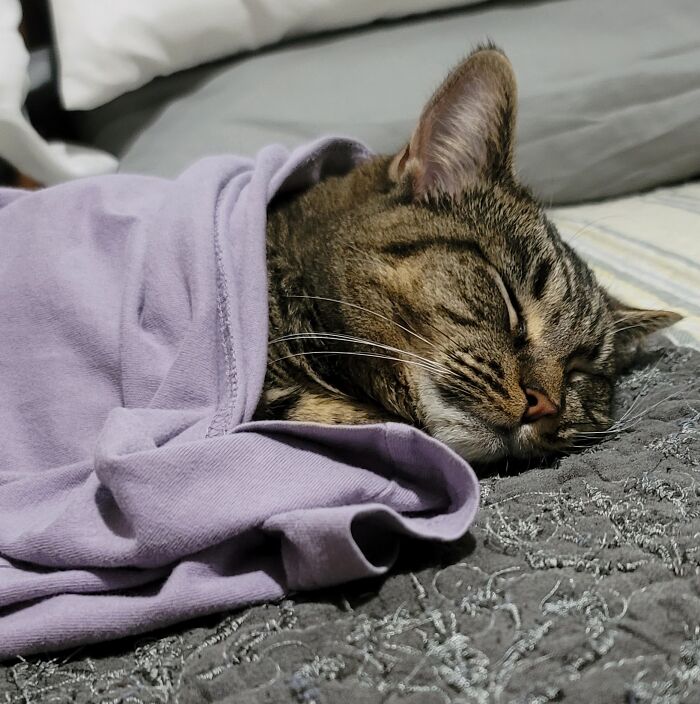 Our Girlie Under Dad's Warm A Shirt. 💙