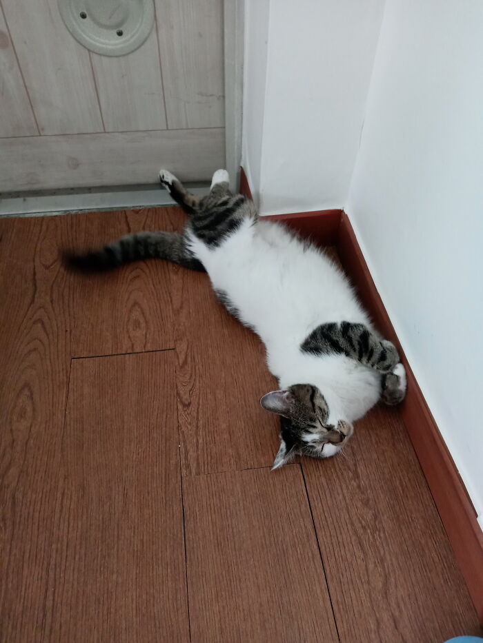 Well, I Guess It Is Comfy For Her. Look At Those Arms And Legs!