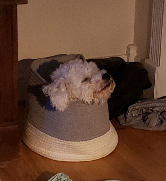 Not A Care In The World.