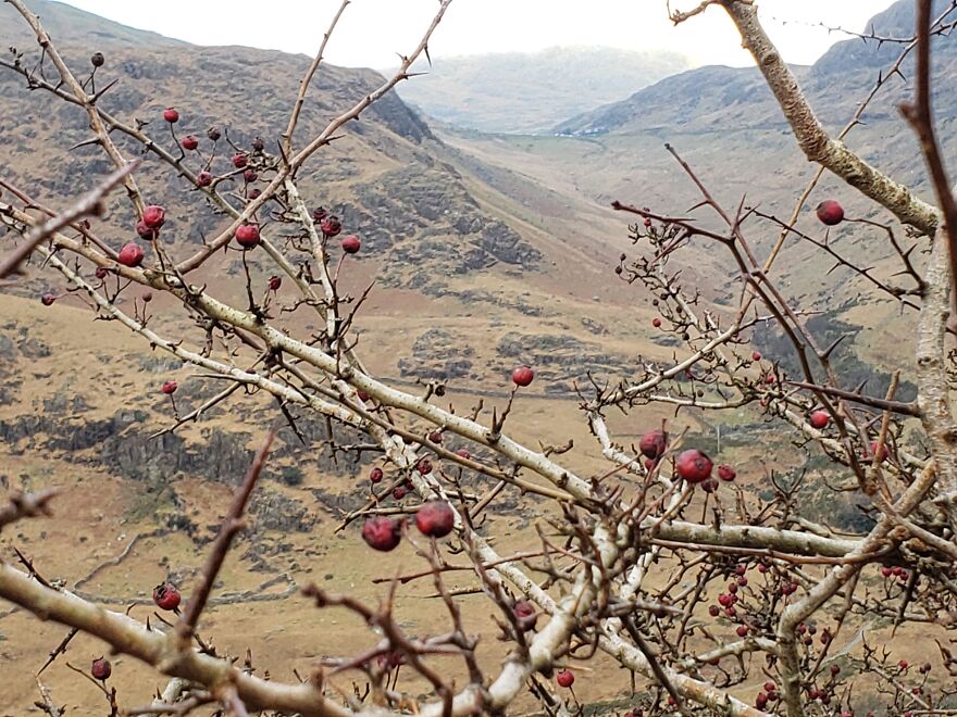 Here Are Some Photos I Took On My Trip To Wales Here Are Some Photos I Took On My Trip To Wales