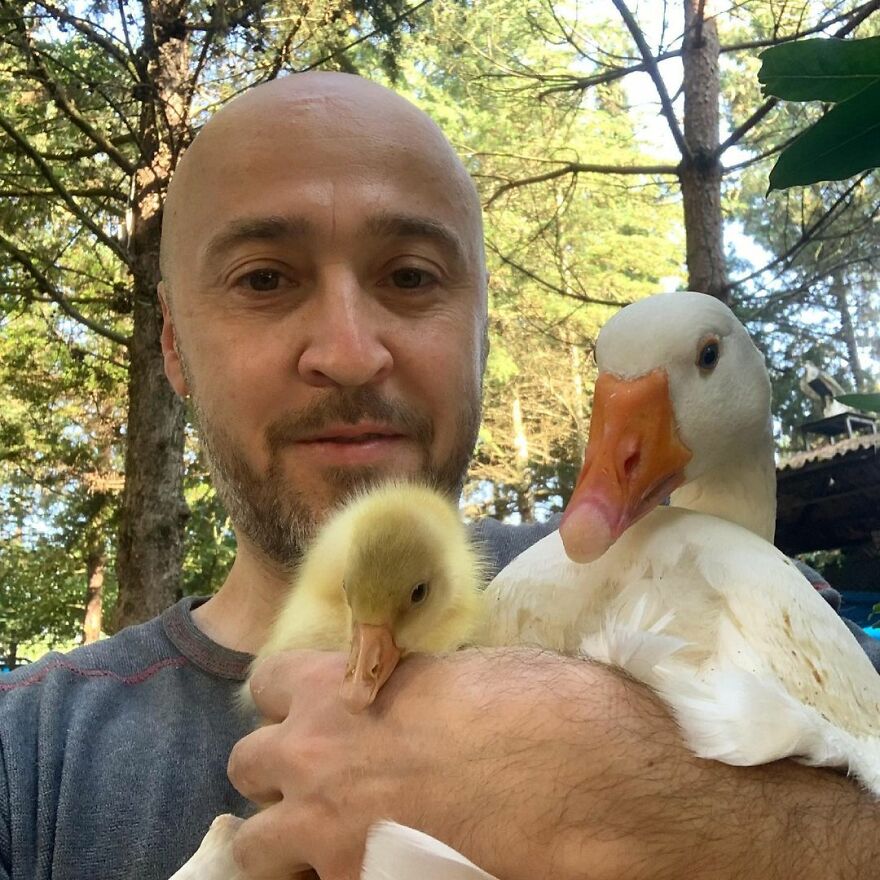 Este hombre transformó su granja en un refugio de animales con perros y gatos, pero también caballos, gaviotas y más