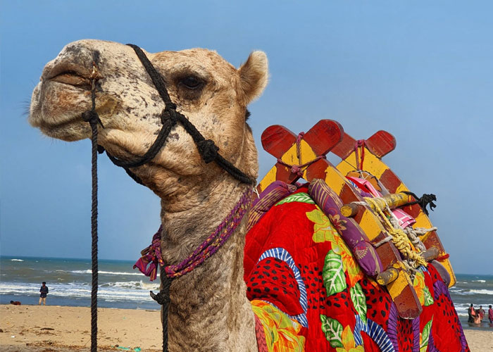 30 New ‘Today I Learned’ Facts That Prove It’s Never Too Late To Learn Something New