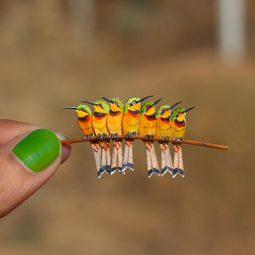 Little Bee-Eater Group