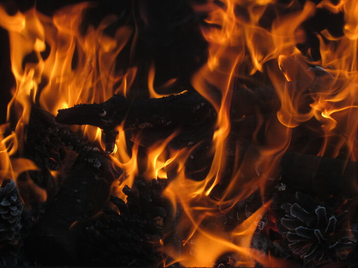 Someone Online Asked, ‘What Do People Pretend Is In The Bible But Is Absolutely Not In The Bible?’ And 25 People Delivered