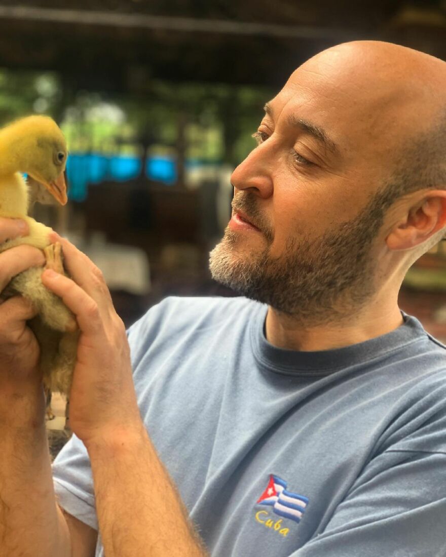 Este hombre transformó su granja en un refugio de animales con perros y gatos, pero también caballos, gaviotas y más