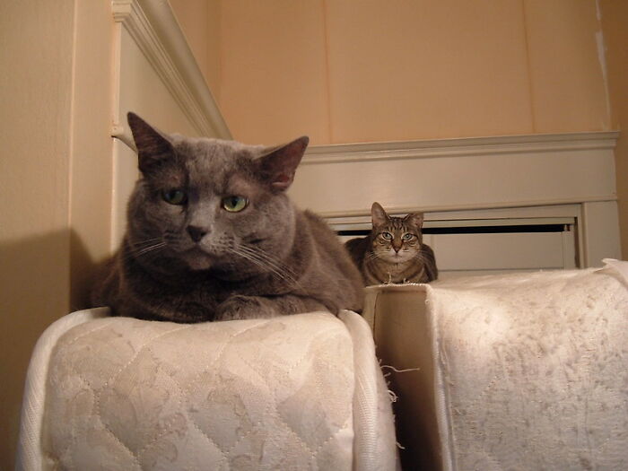 30 Answers Folks In This Online Group Had To The Question “What Is Something That Is Illegal But Isn’t Wrong Ethically?”