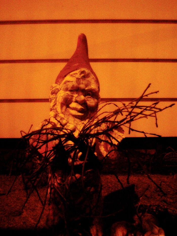 30 People Who Have Doorbell Cameras Are Sharing The Worst Things They’ve Caught On Them