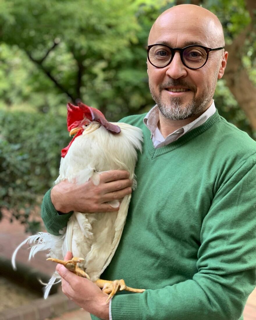 Este hombre transformó su granja en un refugio de animales con perros y gatos, pero también caballos, gaviotas y más