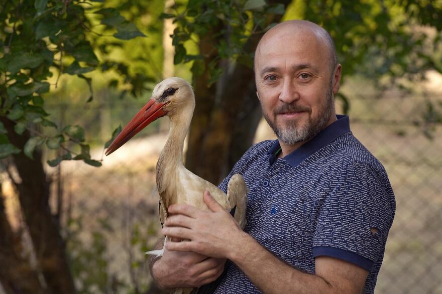 Este hombre transformó su granja en un refugio de animales con perros y gatos, pero también caballos, gaviotas y más