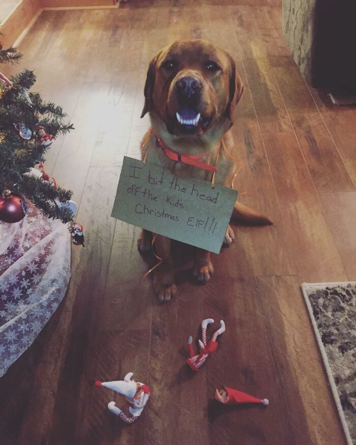 Le he arrancado la cabeza al elfo navideño de los niños