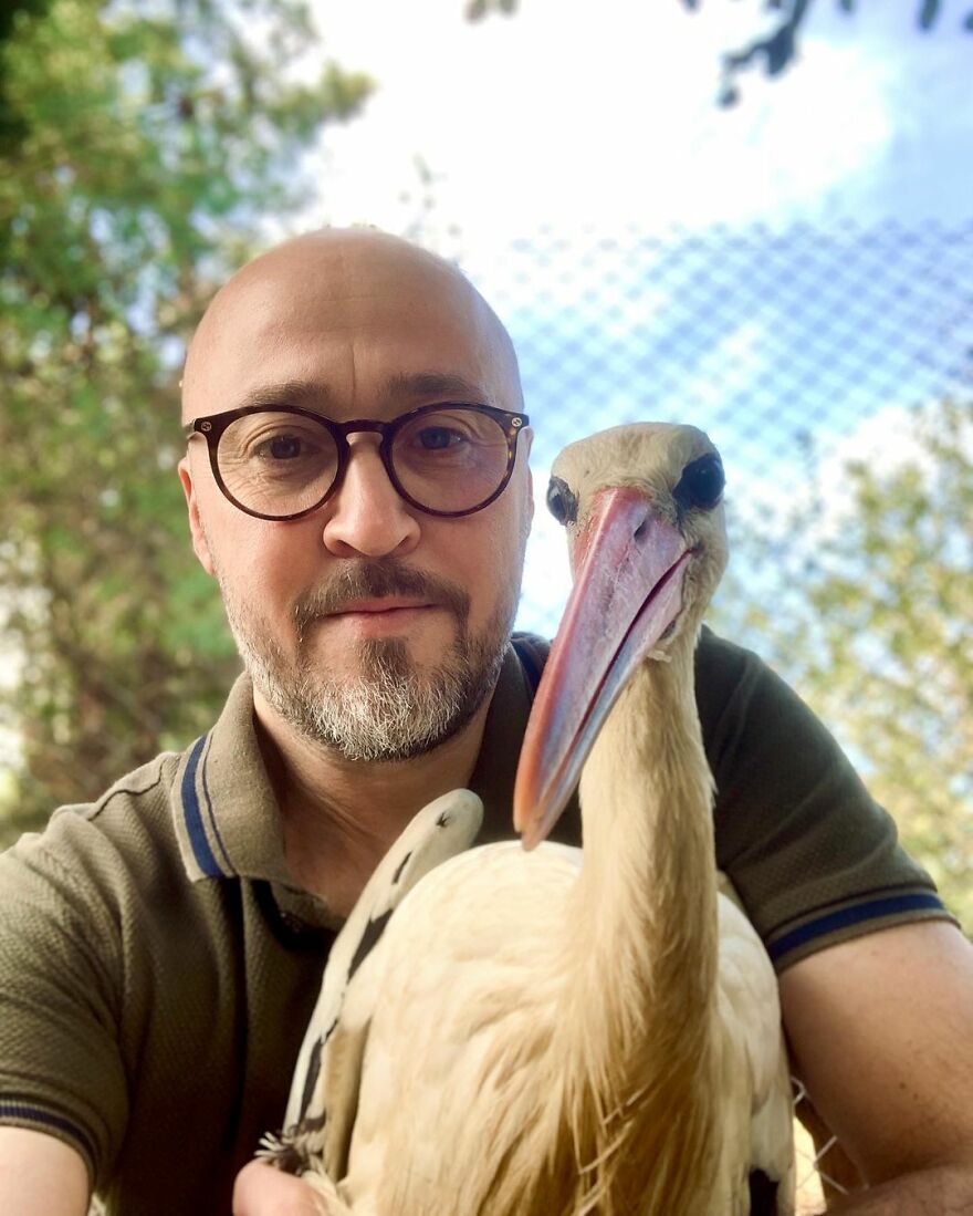 Este hombre transformó su granja en un refugio de animales con perros y gatos, pero también caballos, gaviotas y más