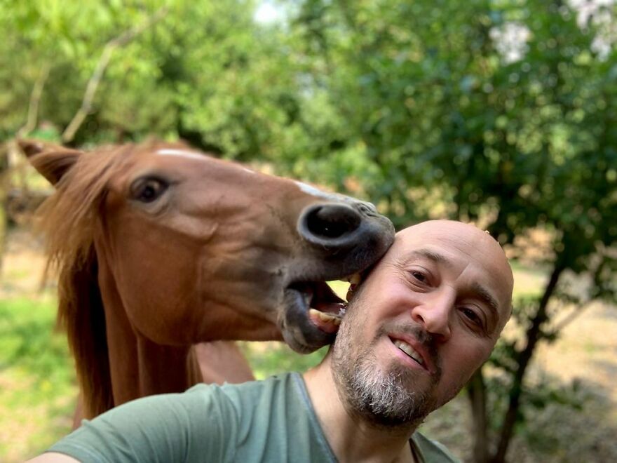 Este hombre transformó su granja en un refugio de animales con perros y gatos, pero también caballos, gaviotas y más