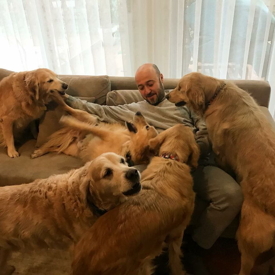 Este hombre transformó su granja en un refugio de animales con perros y gatos, pero también caballos, gaviotas y más