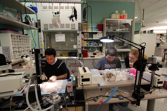 People Online Break Down 25 Subtle Signs That Someone Is Actually Really Intelligent